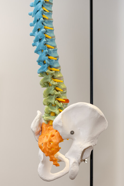 pediatric chiropractor, kids, children, infants, babies, baby