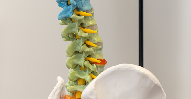 The Benefits of Chiropractic Care for Kids image