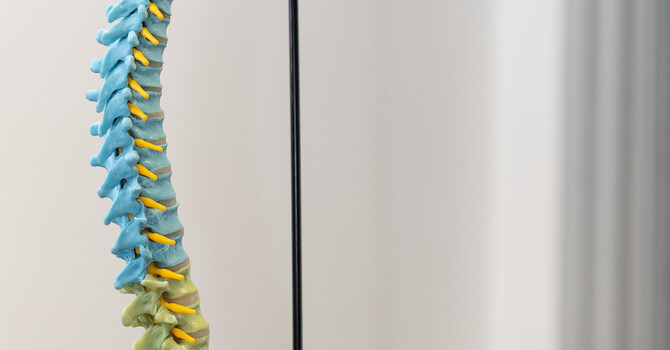 Chiropractic or Acupuncture | Kansas City image