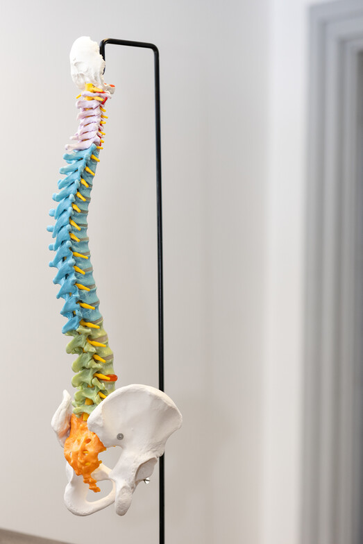 Spinal health in Kansas City