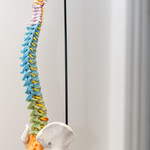 Spinal health in Kansas City